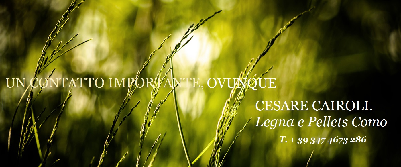 legna_contatti